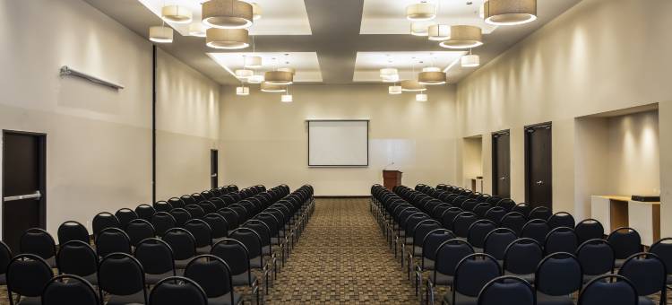 塞拉亚加莱里亚斯假日酒店(Fiesta Inn Celaya Galerias)图片