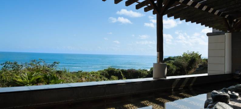 矶崎温泉 新白亚纪酒店(Hotel New Hakuaki)图片