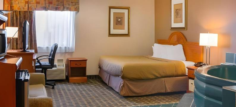 品质酒店及套房底特律大都会机场(Quality Inn & Suites Detroit Metro Airport)图片