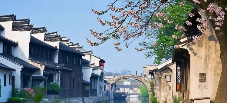 南浔何塘月色民宿(南浔古镇景区店)图片