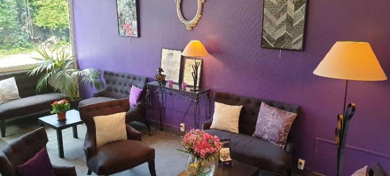 罗汉酒店(Hôtel le Rohan Charme et Caractère)图片