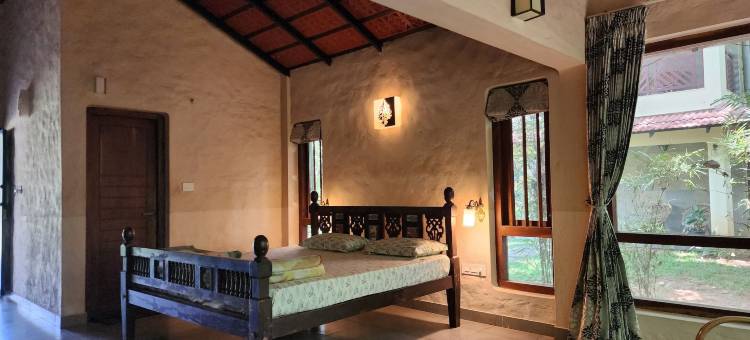 交谈树(Talking Trees)图片