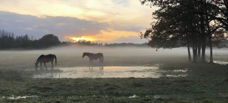 带共享泳池和网球场的别墅(Maison piscine & tennis partagés)图片