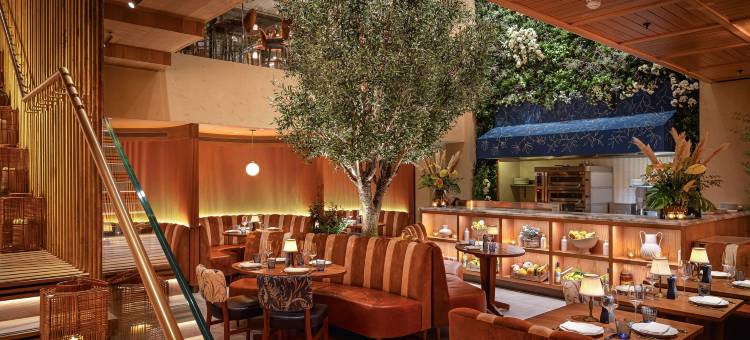 伦敦博树希尔顿格芮精选酒店(The BoTree London, Curio Collection by Hilton)图片