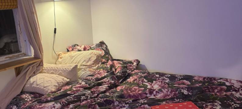 Enhörna的小型住宅(Tiny House at Enhörna)图片