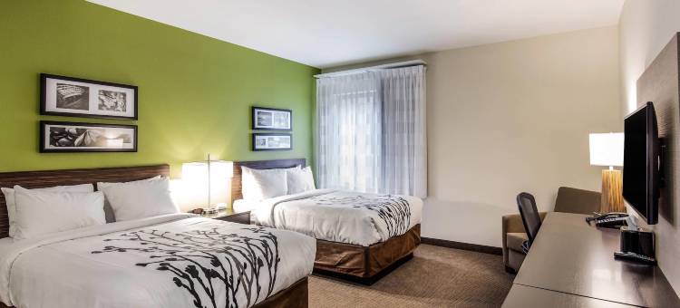 舒眠达拉斯爱田-医学园区酒店(Sleep Inn Dallas Love Field-Medical District)图片