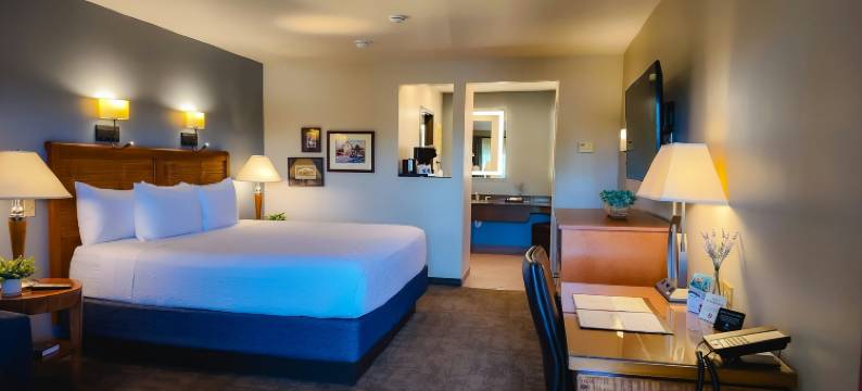 阿德莱德旅馆(Adelaide Inn)图片