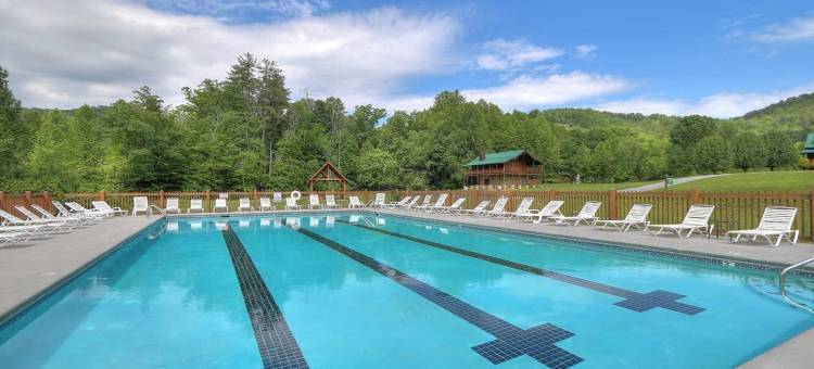华丽景观小屋热水浴缸隐私壁炉泳池钓鱼通道(Gorgeous View. Hot Tub. Privacy. Fireplace. Pool & Fishing Access!)图片