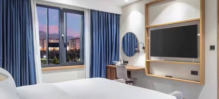 埃尔祖鲁姆希尔顿花园酒店(Hilton Garden Inn Erzurum)图片