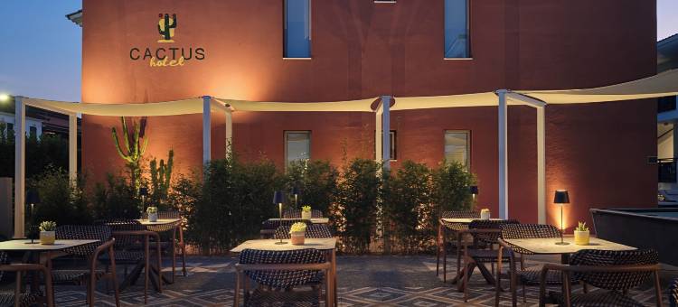 仙人掌酒店(Cactus Hotel)图片