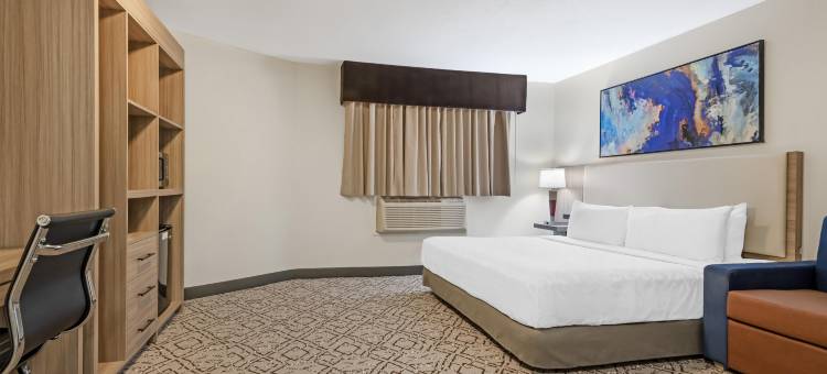 卡尔加里机场酒店贝斯特韦斯特酒店(Best Western Airport Inn)图片