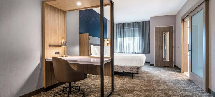 北查尔斯顿万豪SpringHill套房酒店(SpringHill Suites Charleston Airport & Convention Center)图片