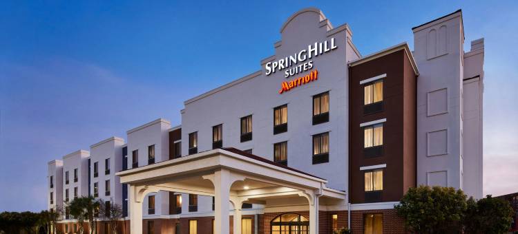 圣安东尼奥市中心/河滨区SpringHill Suites 酒店(SpringHill Suites San Antonio Downtown/Riverwalk Area)图片