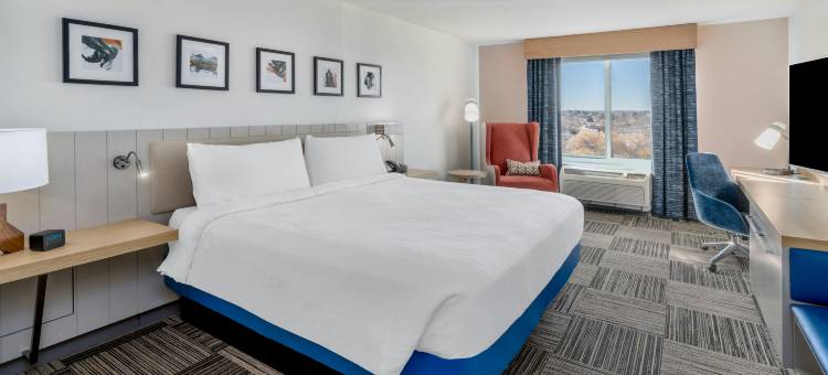 阿尔伯克基住宅区希尔顿花园酒店(Hilton Garden Inn Albuquerque Uptown)图片
