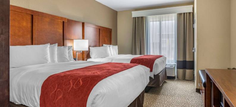 佛伦伦萨I-95舒适套房酒店(Comfort Suites Florence I-95)图片