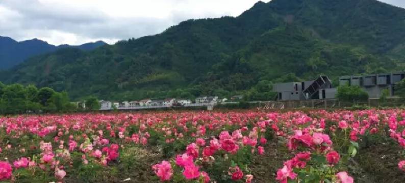 杭州大明山相携民宿图片