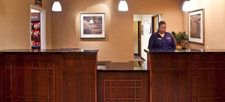 Staybridge Suites Tampa East- Brandon图片