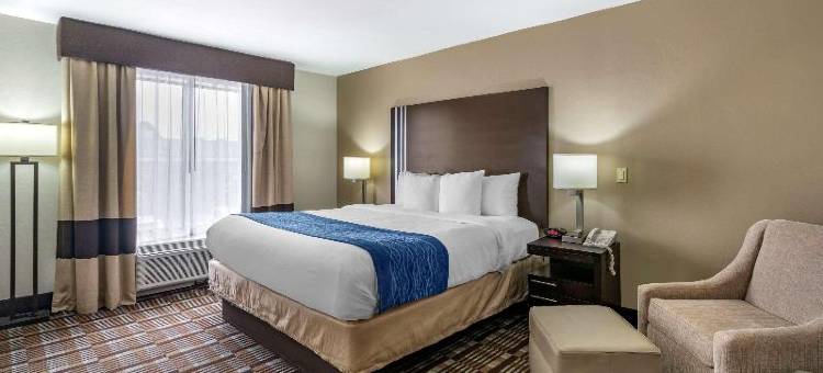 舒适酒店(Comfort Inn)图片