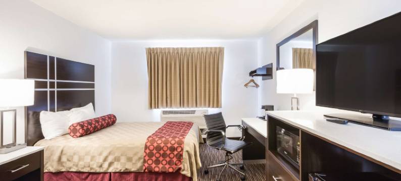 密歇根州夏洛特美洲最佳价值酒店(Americas Best Value Inn Charlotte)图片