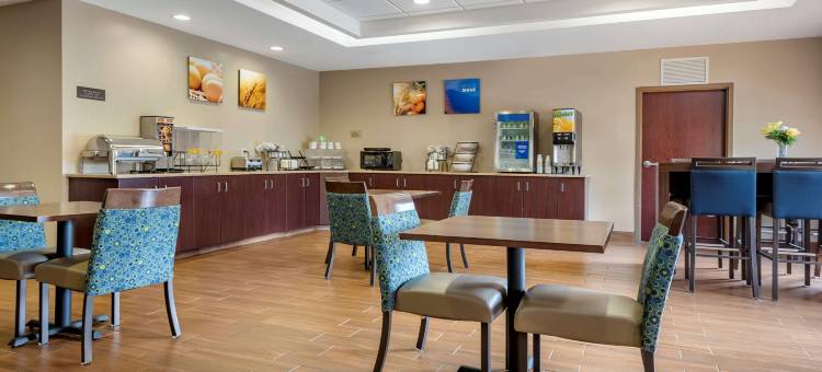 福明顿舒适酒店及套房(Comfort Inn & Suites Farmington - Victor)图片