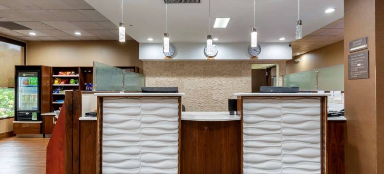 宾厄姆顿I-81舒适酒店(Comfort Inn Binghamton I-81)图片