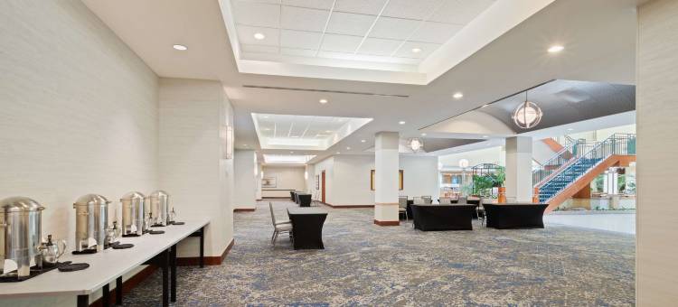 希尔顿坦帕布希花园附近美国佛罗里达大学大使套房酒店(Embassy Suites by Hilton Tampa USF Near Busch Gardens)图片