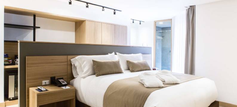 93号公园贝斯特韦斯特优质酒店(Best Western Plus 93 Park Hotel)图片