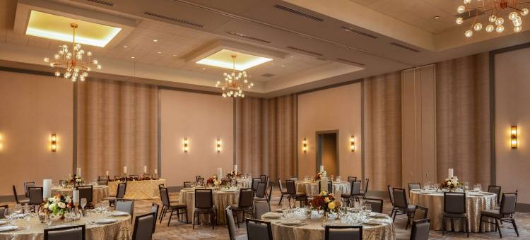 南本德希尔顿大使套房酒店(Embassy Suites by Hilton South Bend at Notre Dame)图片