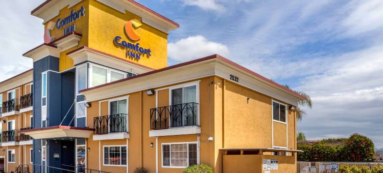 卡斯特罗谷舒适酒店(Comfort Inn Castro Valley)图片
