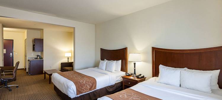 舒适套房酒店-圣安东尼奥北斯通奥克(Comfort Suites San Antonio North - Stone Oak)图片