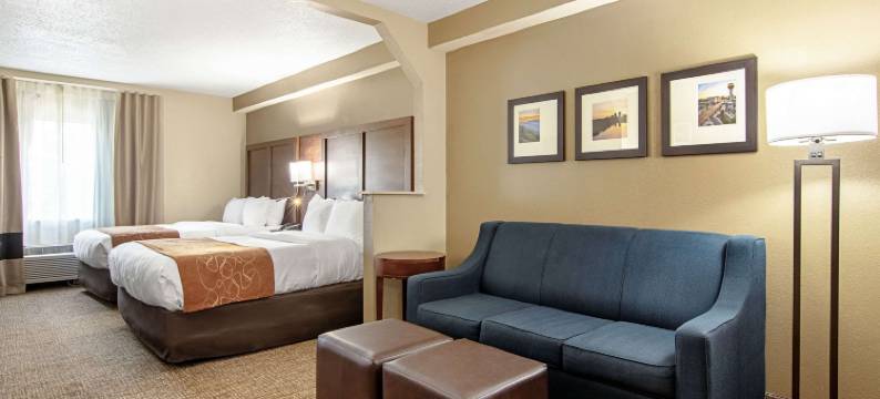 诺克斯维尔机场舒适套房酒店(Comfort Suites Knoxville Airport)图片