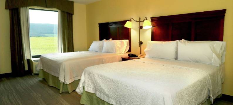 希尔顿欢朋酒店-拉马尔(Hampton Inn & Suites Lamar)图片