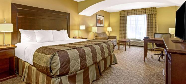 迪金森拉昆塔温德姆套房酒店(La Quinta Inn & Suites by Wyndham Dickinson)图片