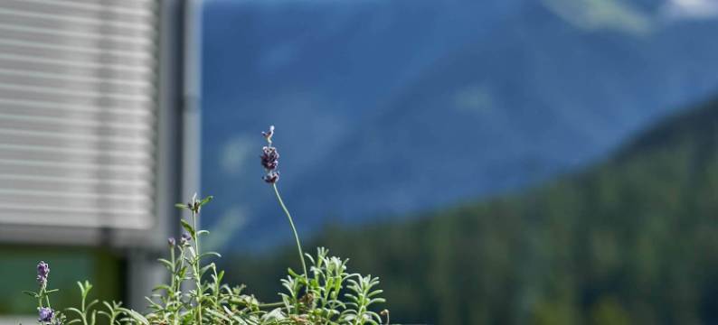 DORMERO BeHo 楚格峰(Dormero BeHo Zugspitze)图片