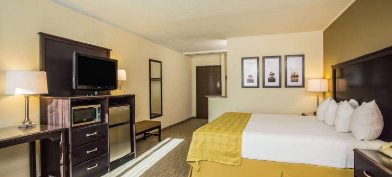 真斯维尔美吟温德姆酒店(AmericInn by Wyndham Janesville)图片