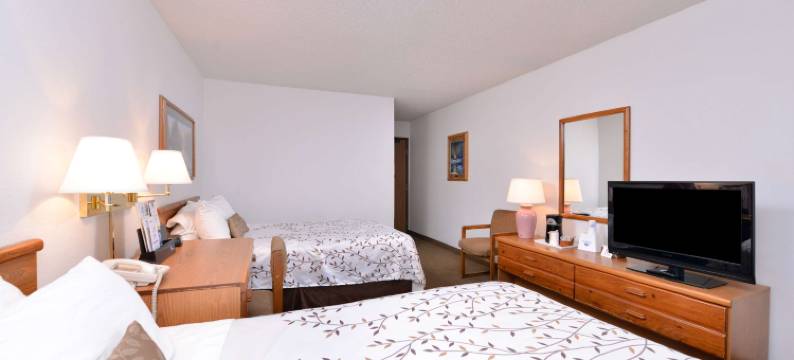 国际瀑布城美洲最佳价值套房酒店(Americas Best Value Inn and Suites International Falls)图片