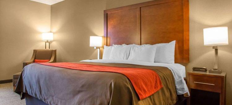 舒适酒店-代顿胡伯高地(Comfort Inn Dayton - Huber Heights)图片