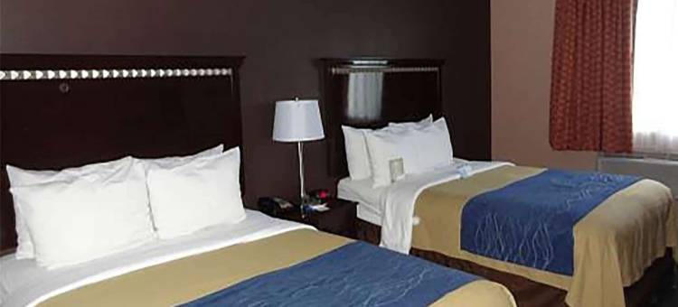 肯尼迪机场凯富套房酒店(Travelodge by Wyndham Ozone Park)图片