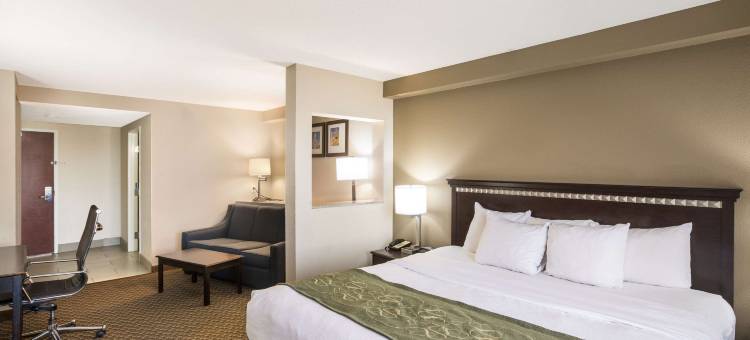 舒适套房酒店-近福赛斯I-75号(Comfort Suites Forsyth near I-75)图片