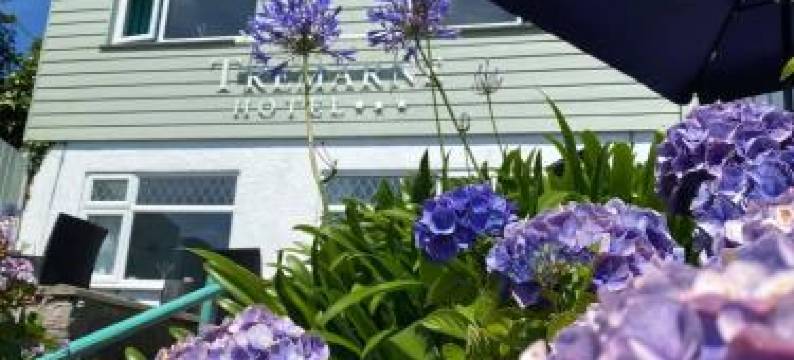 特瑞玛尼酒店(Tremarne Hotel)图片