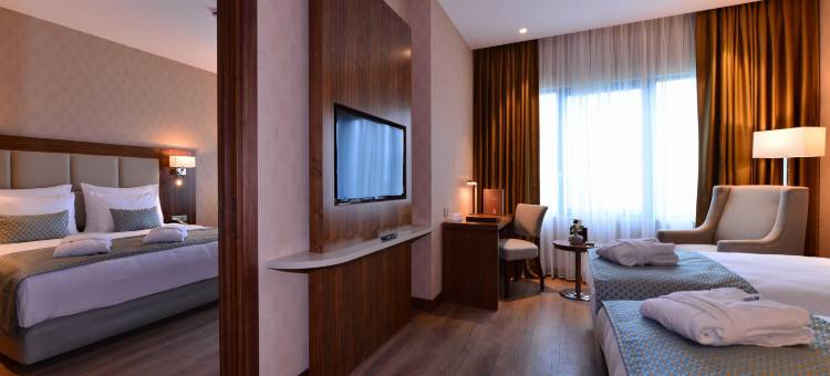 伊斯坦布尔玛姆特贝克拉丽奥酒店(Clarion Hotel Istanbul Mahmutbey)图片