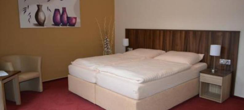 克朗酒店(Hotel Koruna)图片