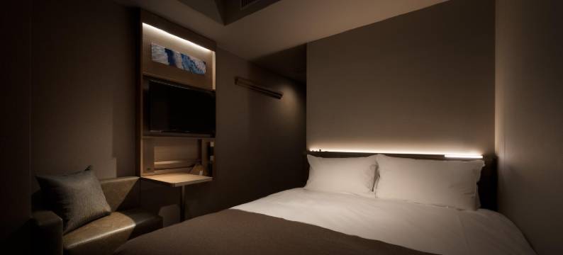 东京半藏门NEST酒店(Nest Hotel Tokyo Hanzomon)图片