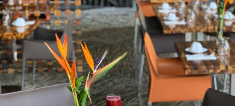 玛坎达海边酒店 - 限成人入住(Makanda by the Sea Hotel Adults Only)图片