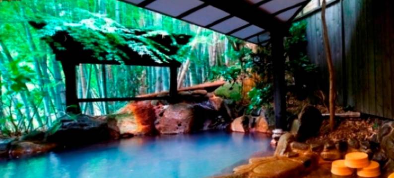 汤本庄旅馆(Ryokan Yumotosou)图片