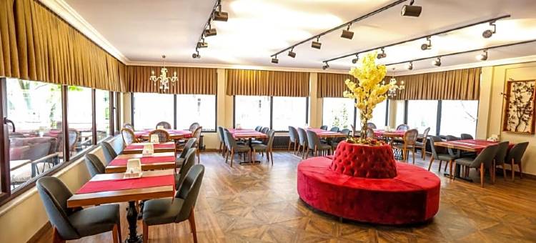 亚洛瓦萨拉伊温泉 SPA 酒店(Thermal Saray Hotel & Spa Yalova)图片