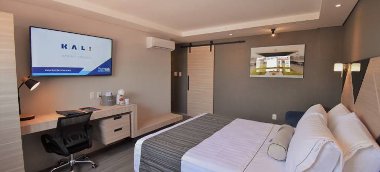 卡利中心墨西哥城(Kali Centro Mexico City)图片