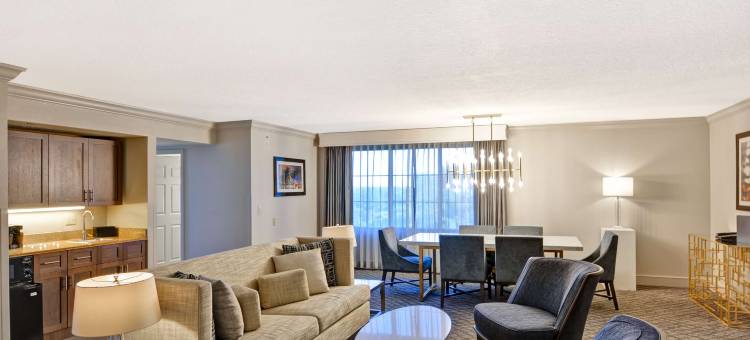 奥兰多市中心希尔顿安泊酒店(Embassy Suites by Hilton Orlando Downtown)图片