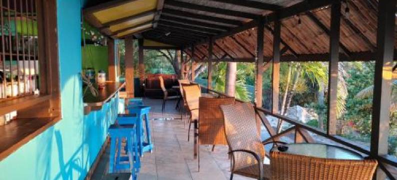 奥里海滩酒吧及酒店(Orrie's Beach Bar and Hotel)图片