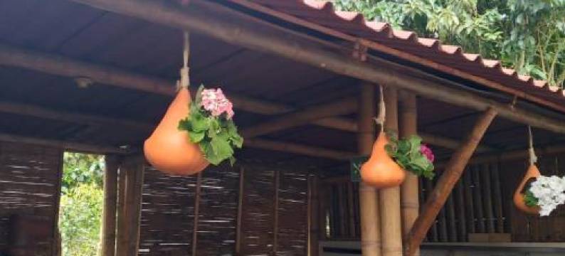 El Refugio del Oso de Anteojos图片